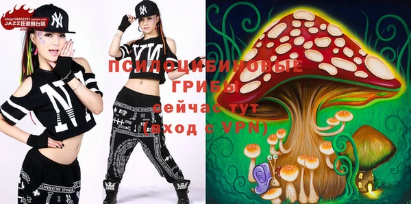 прущий лед Алзамай