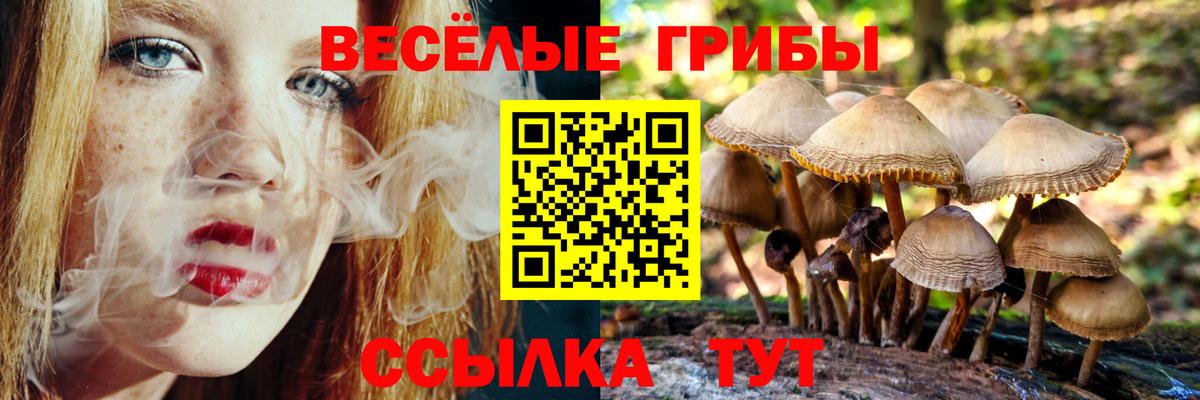 Борзя  Галлюциногенные грибы ЛСД  дарнет шоп  Вход с VPN 
